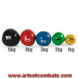 Medicine ball Metal Boxe MB323