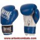GANTS DE BOXE D'ENTRAINEMENT METAL BOXE