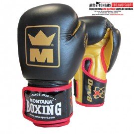 GANTS MULTI-BOXE DEVIL MONTANA
